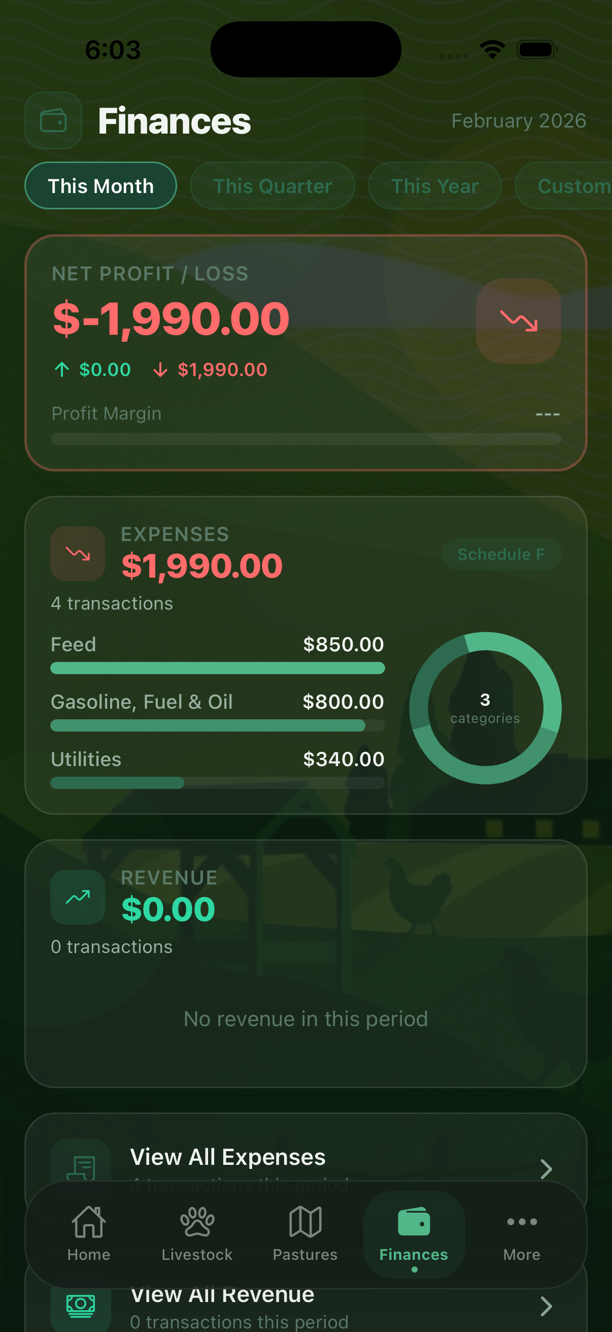 Expense & Revenue Tracking